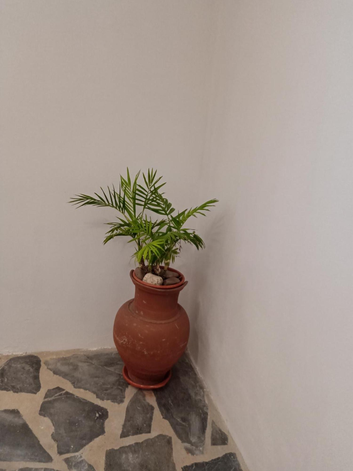Quintinha Dos Pombinhos Βίλα Montoito Εξωτερικό φωτογραφία