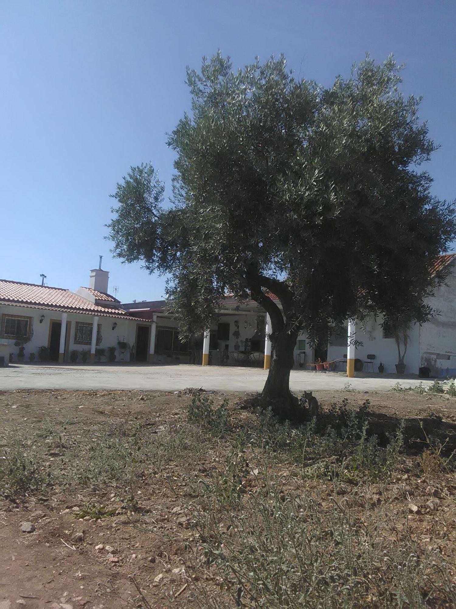 Quintinha Dos Pombinhos Βίλα Montoito Εξωτερικό φωτογραφία