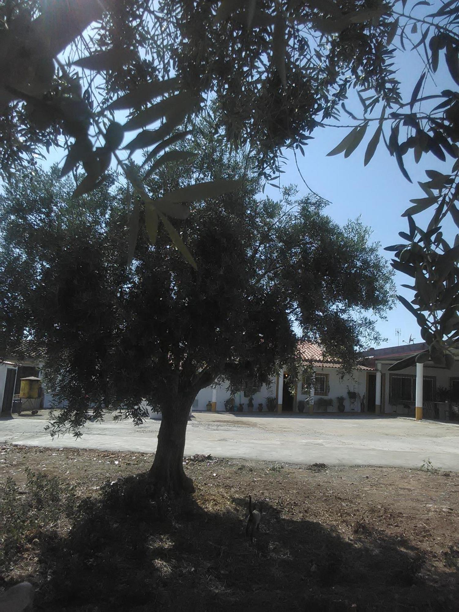 Quintinha Dos Pombinhos Βίλα Montoito Εξωτερικό φωτογραφία